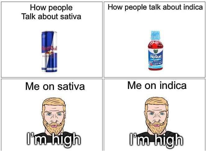 Medical Grower 420 🇺🇸 tweet media