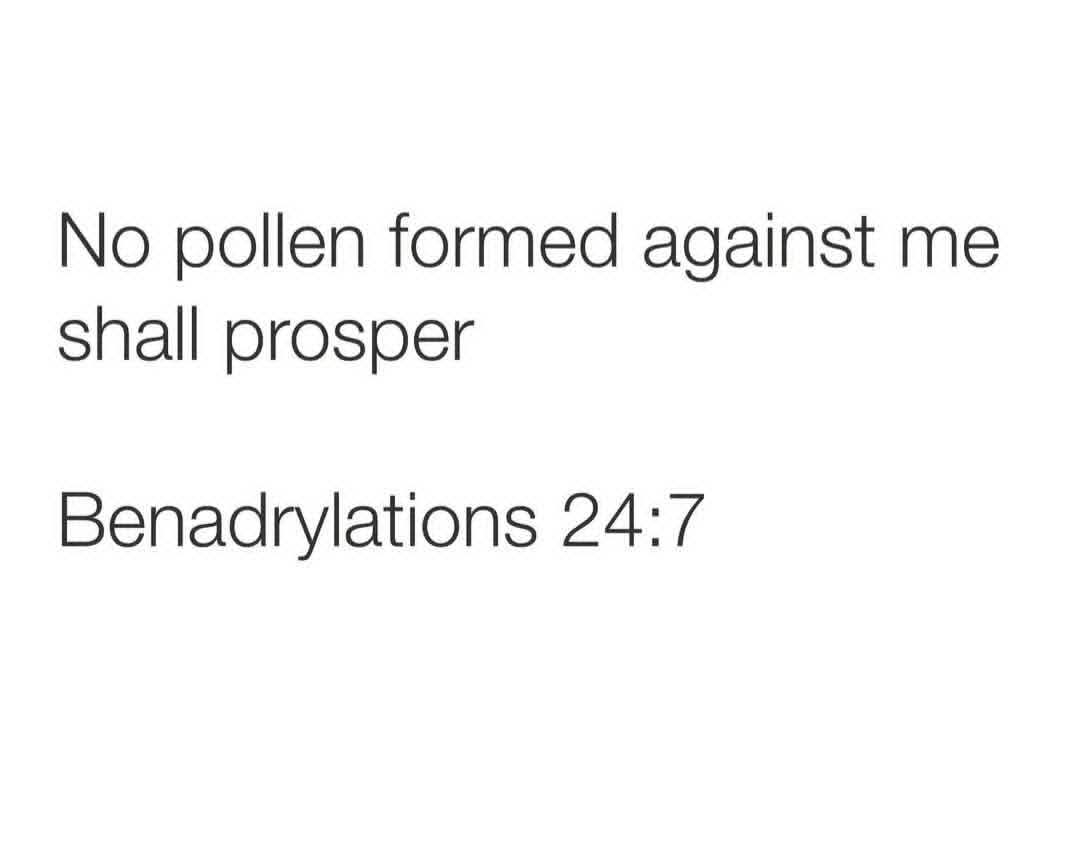 Cynthia Musser tweet media