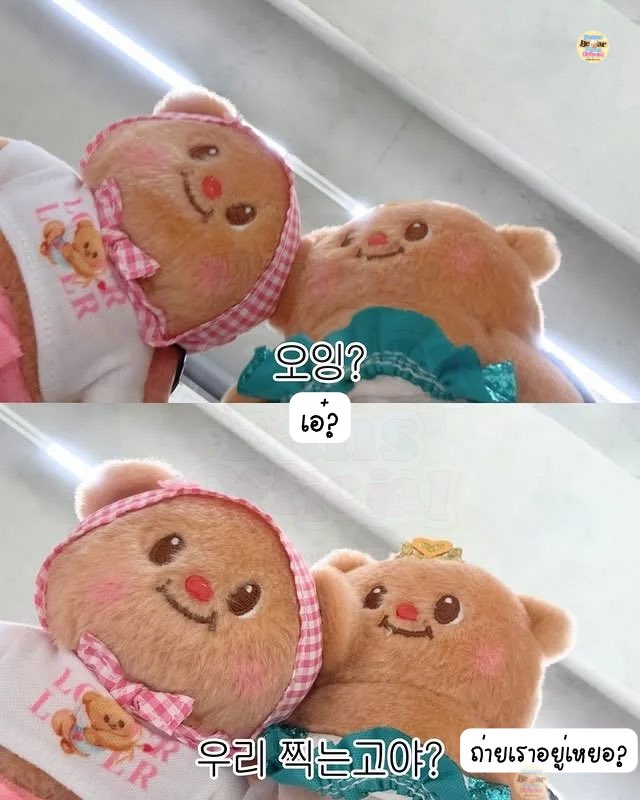 ด้อมน้องเนย 🧸🧈💛 tweet media