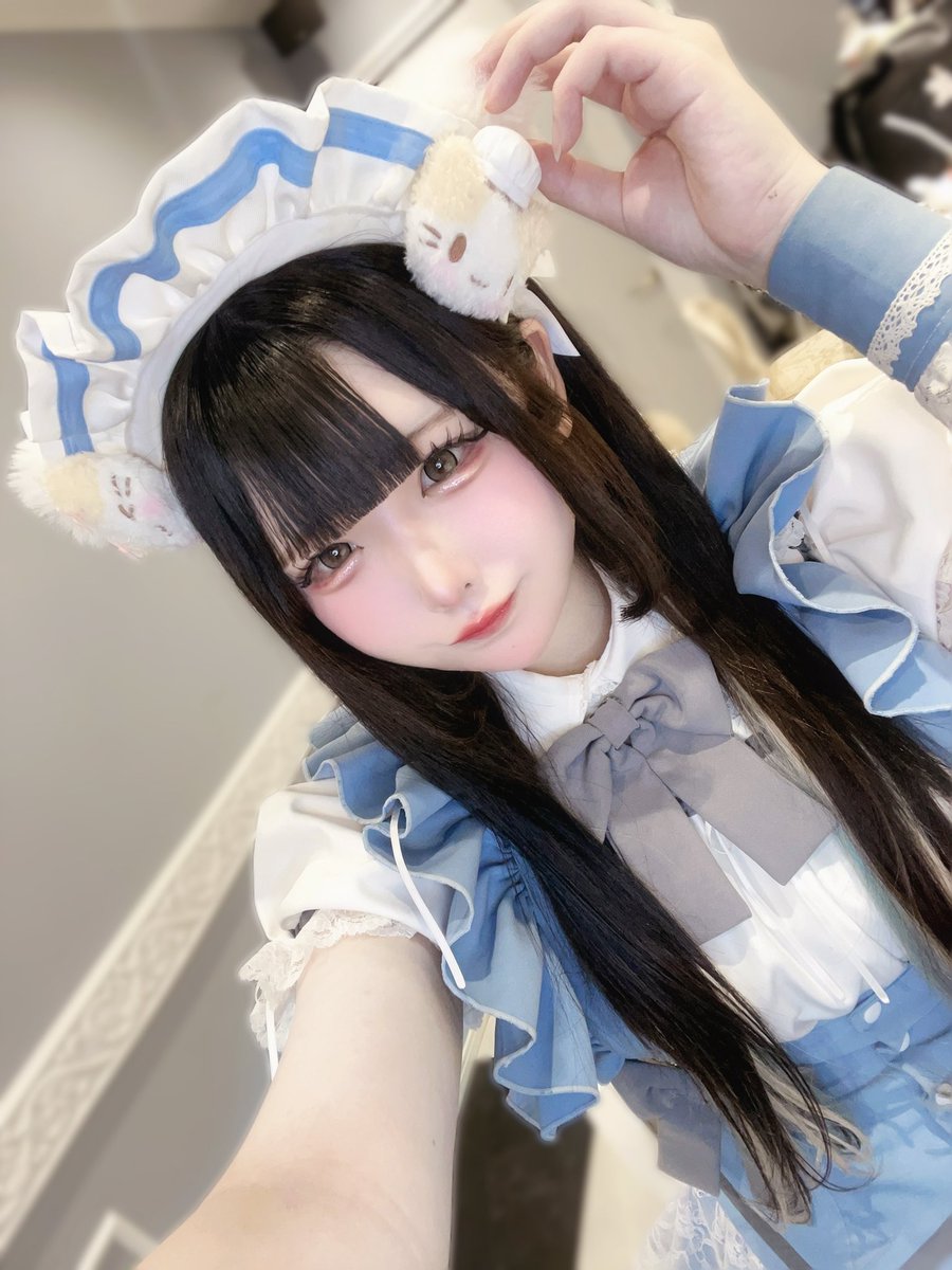 ねこた💮Ragdoll tweet media