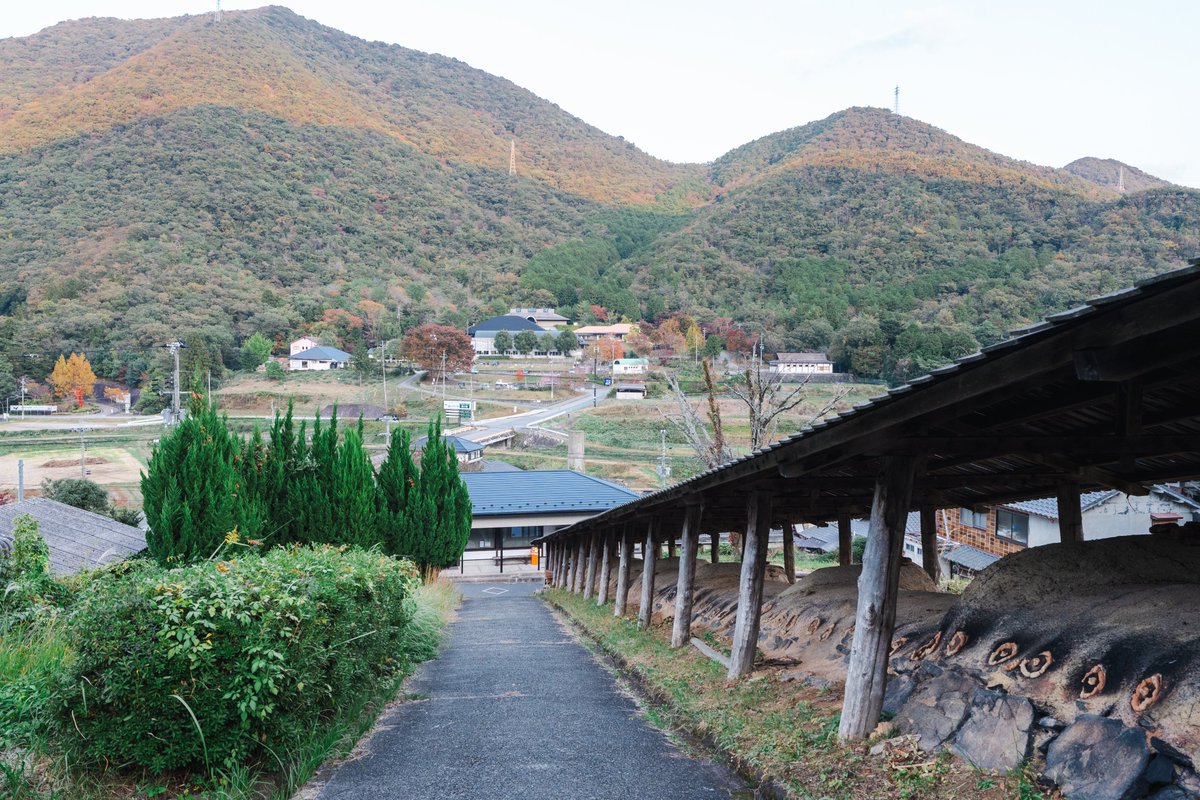 Ichiban Japan tweet media