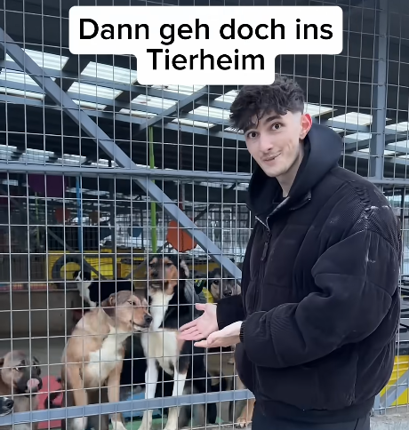 Dodobert Diqq tweet media