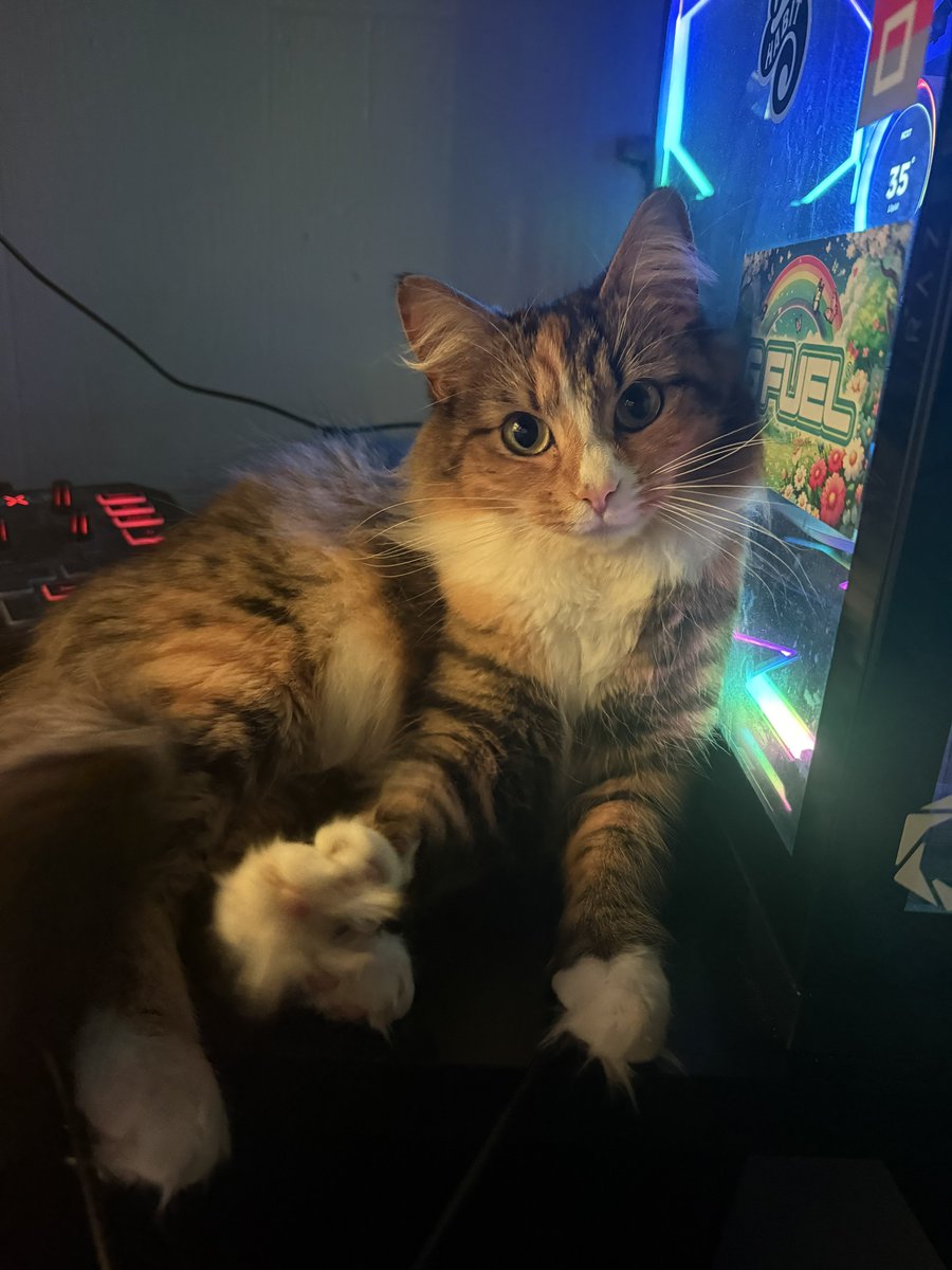 Tyler Thomas tweet media