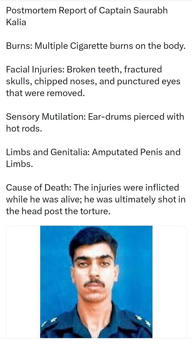 The Social Document tweet media