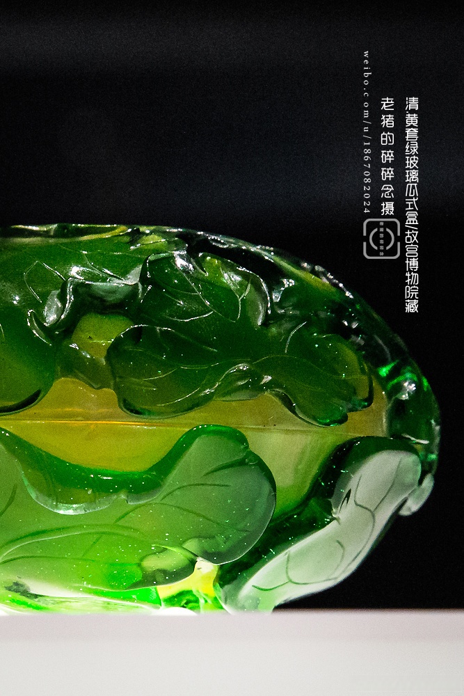 Megan Miller tweet media