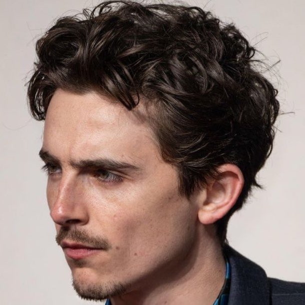 scenful.🐺 tweet media