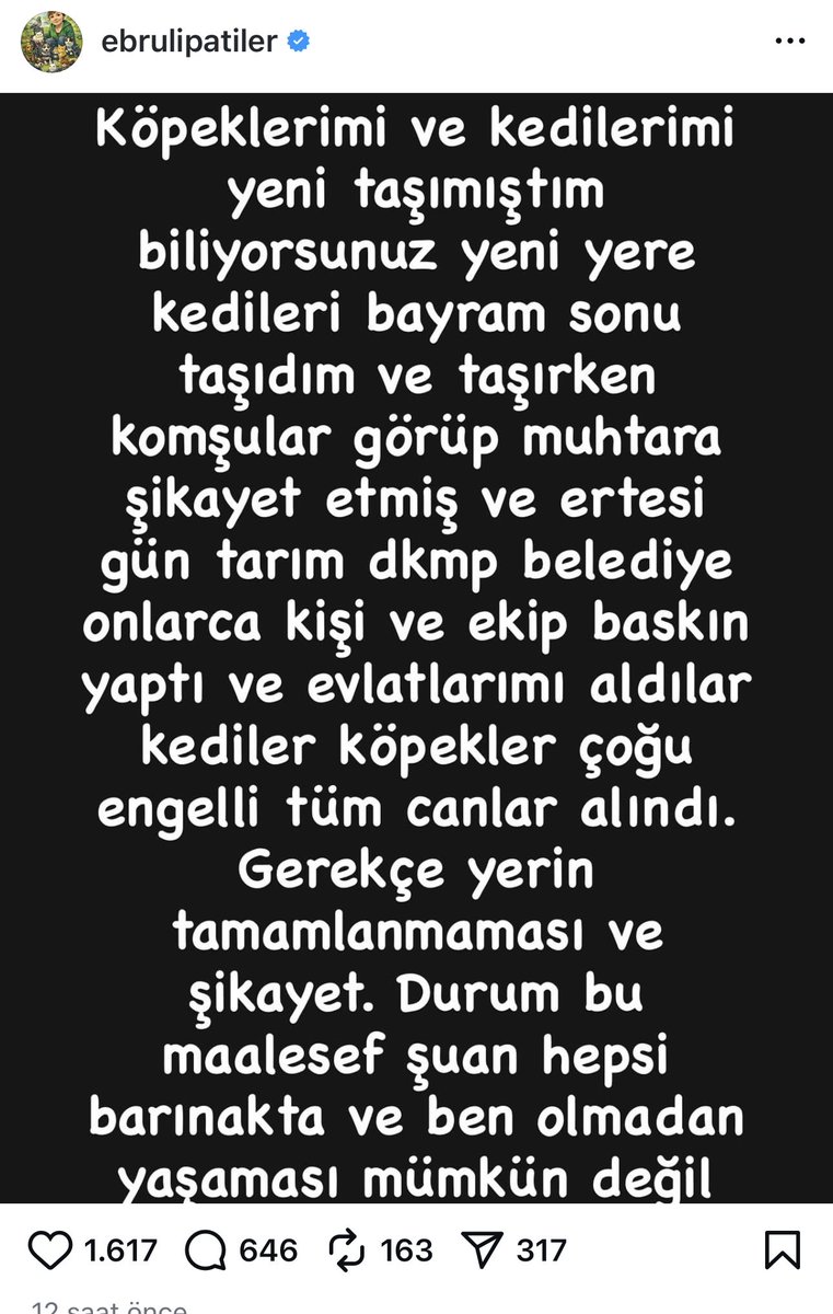 kedi insanı tweet media