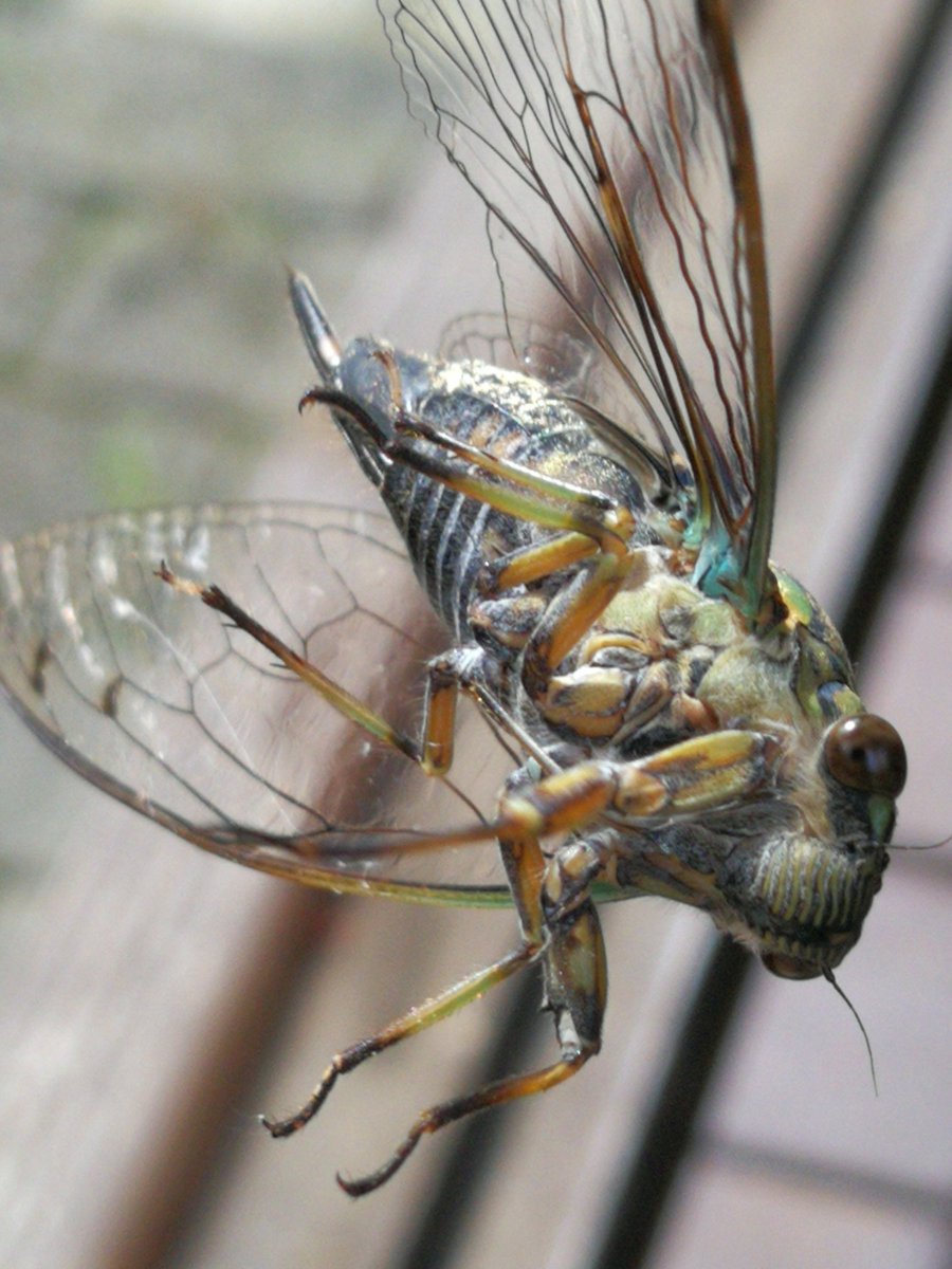 Larry seitz tweet media