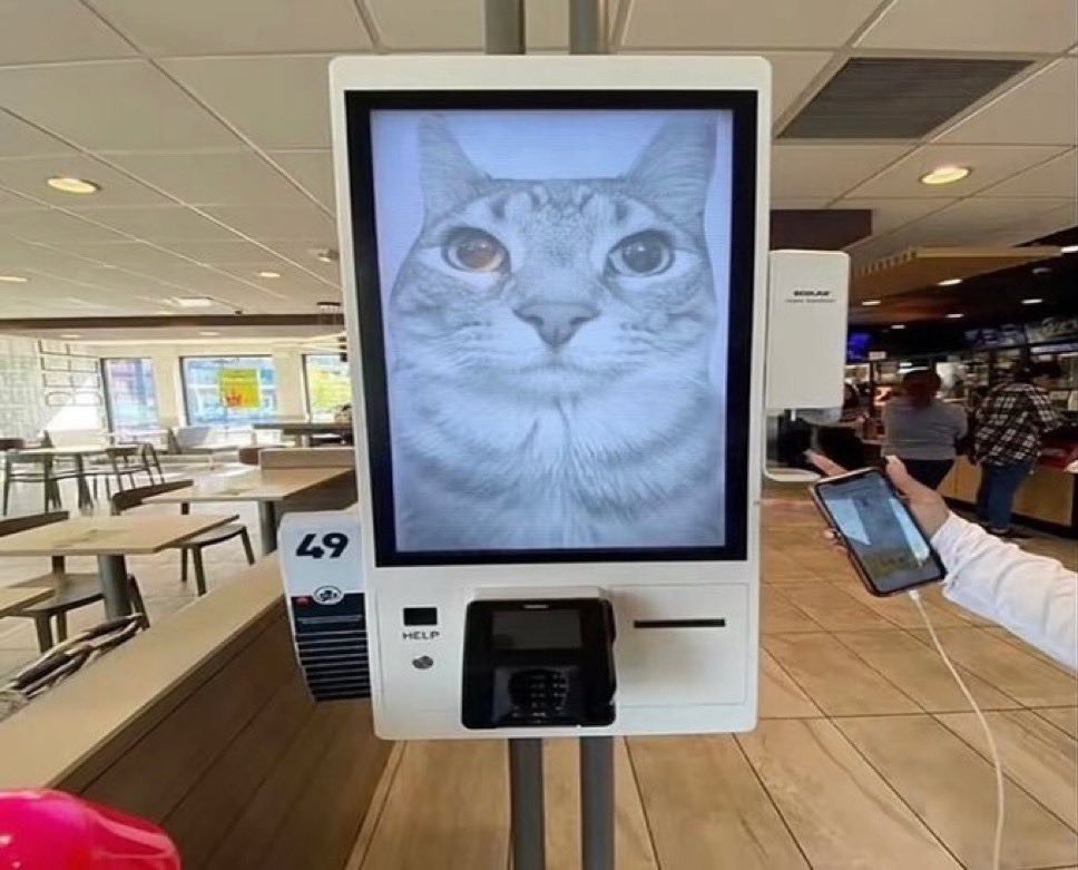 Meow: get me a tuna deluxe combo. no veggies. don’t ask.