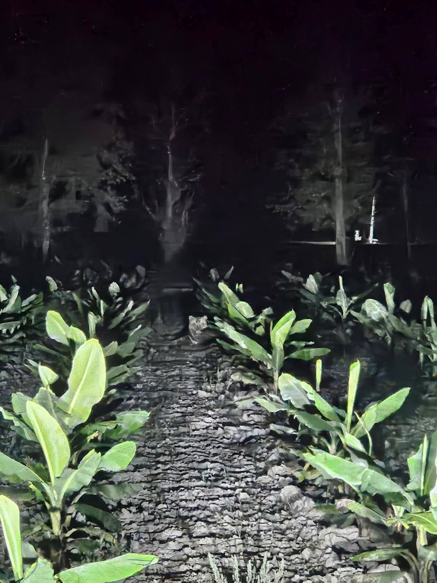 Mohan Pargaien IFS🇮🇳 tweet media