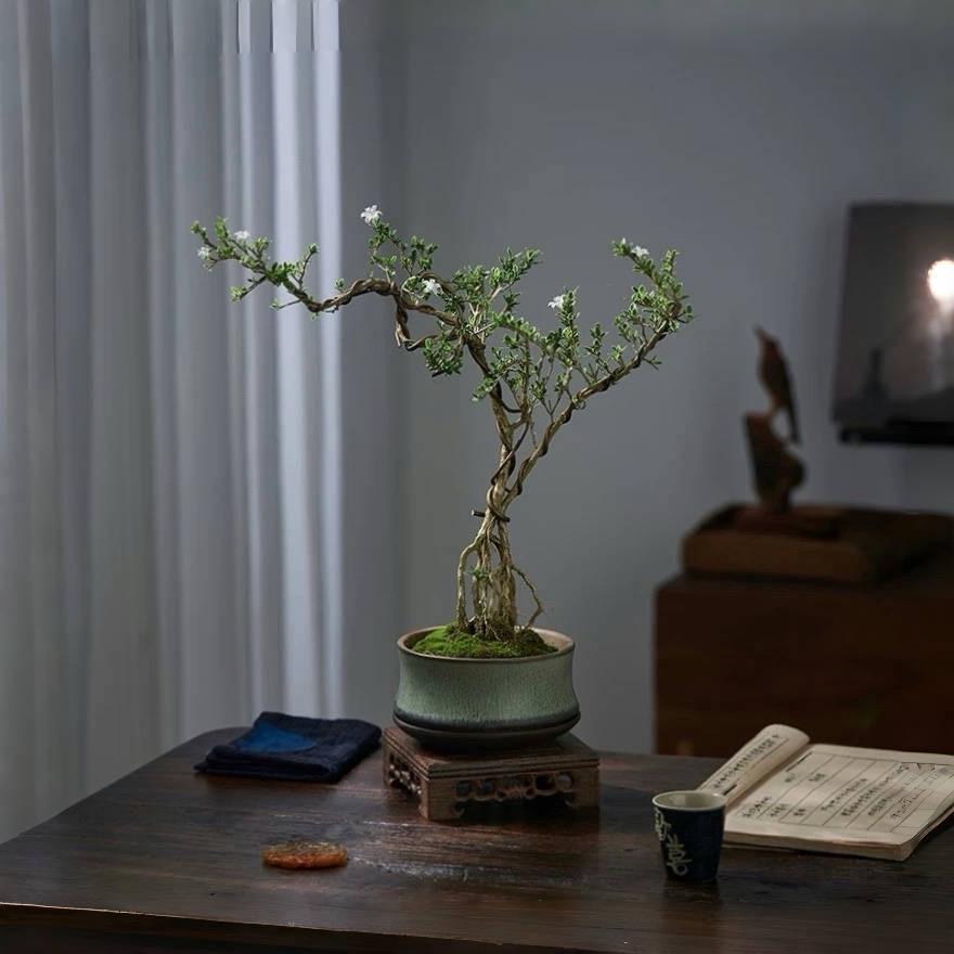 Kolja Knapp tweet media