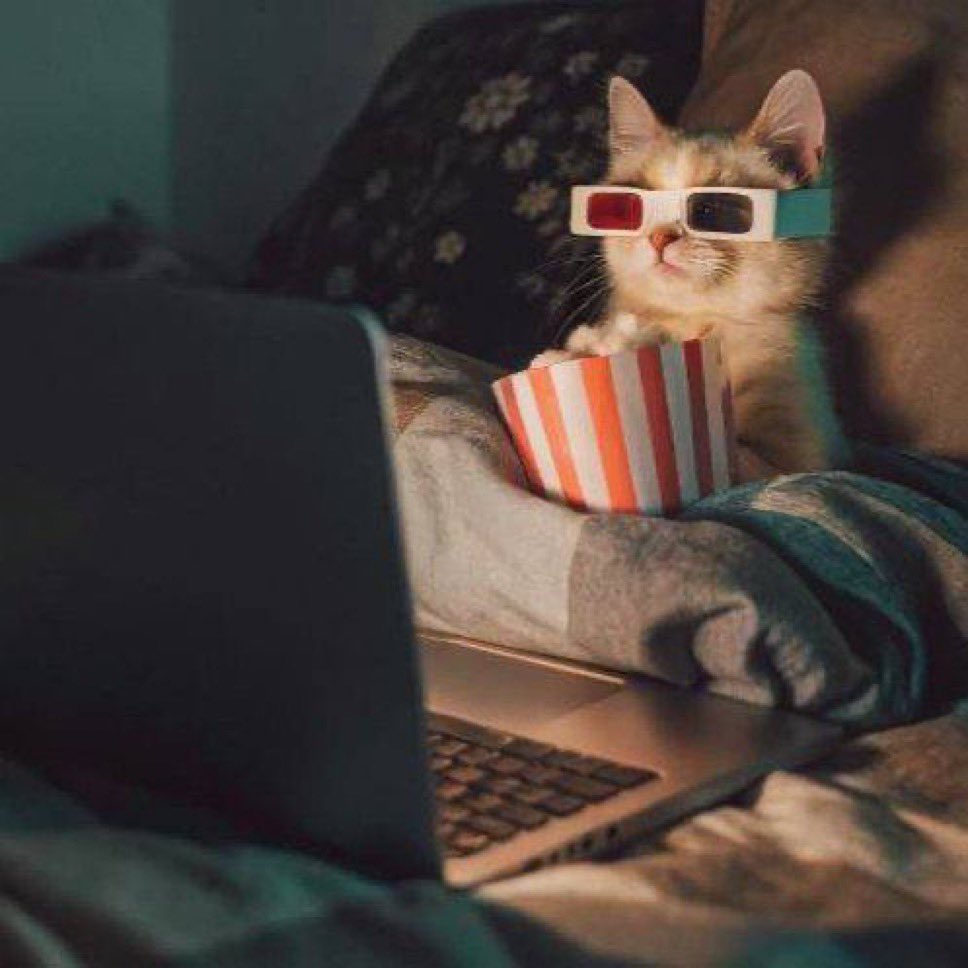 Timii 🩶 tweet media