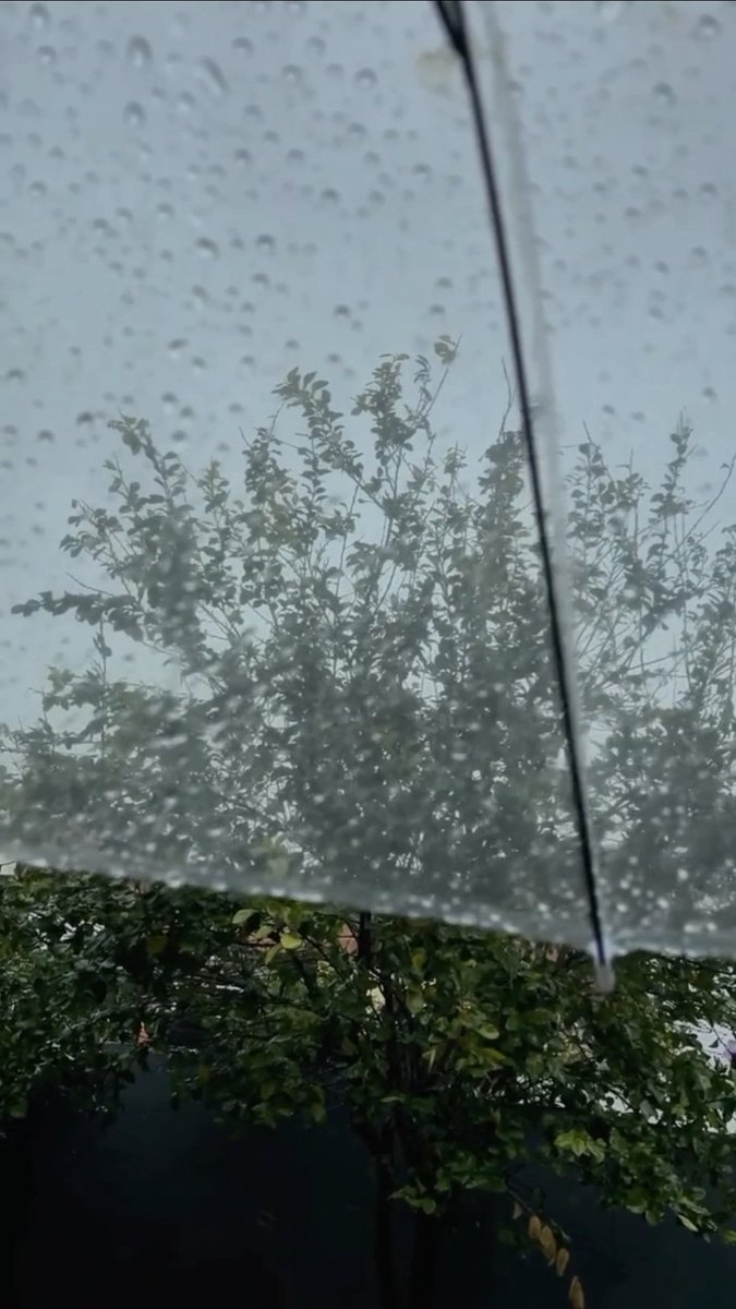 زهـــــــرة🌸. tweet media