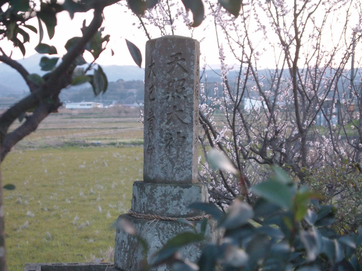 米子力研究所 tweet media