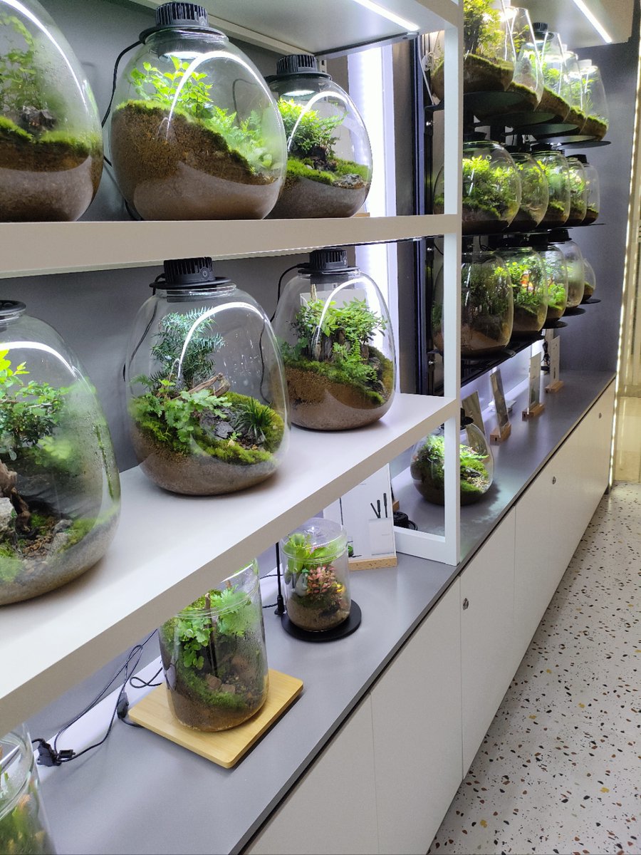 Jeremy R tweet media