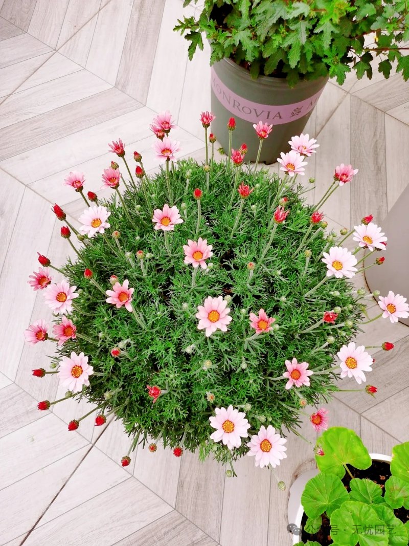 Jenna Chapman tweet media