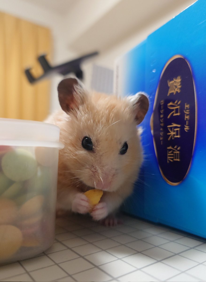 𝒄𝒉𝒂𝒚 tweet media