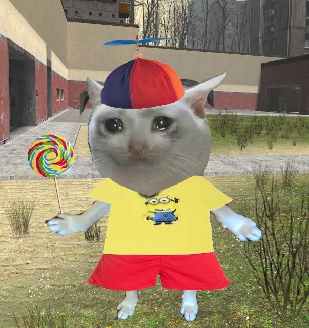 mian 📚 reading ■rvss tweet media