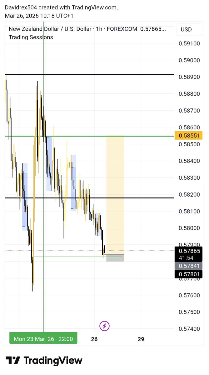 Trader Rex tweet media