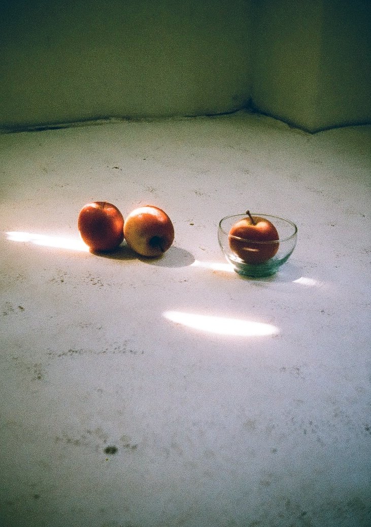 #MaiSnap
#film
NIKON EM
PHOENIX ISO200