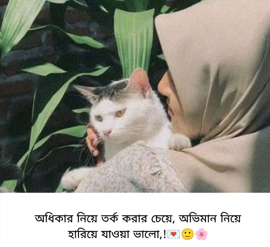 অধিকার নিয়ে তর্ক করার চেয়ে, অভিমান নিয়ে হারিয়ে যাওয়া ভালো,!💌🙂🌸