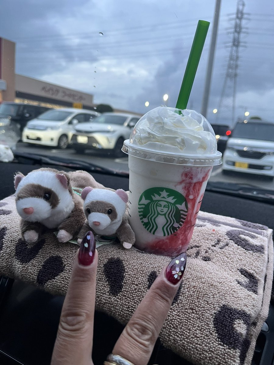 きよたゃん₍˄·͈༝·͈˄₎◞ tweet media