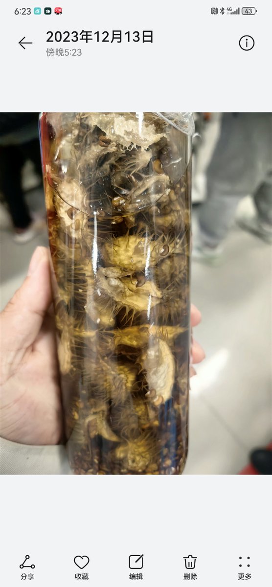 christopher tweet media