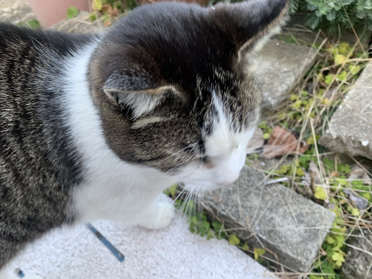 むっちょ@ゲンリプ休止中 tweet media