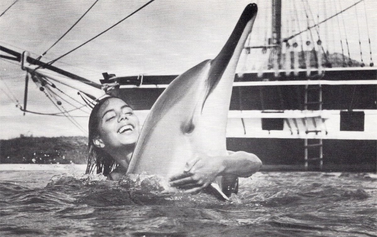 ◜ Daily Ceta ◞ 🫍 tweet media