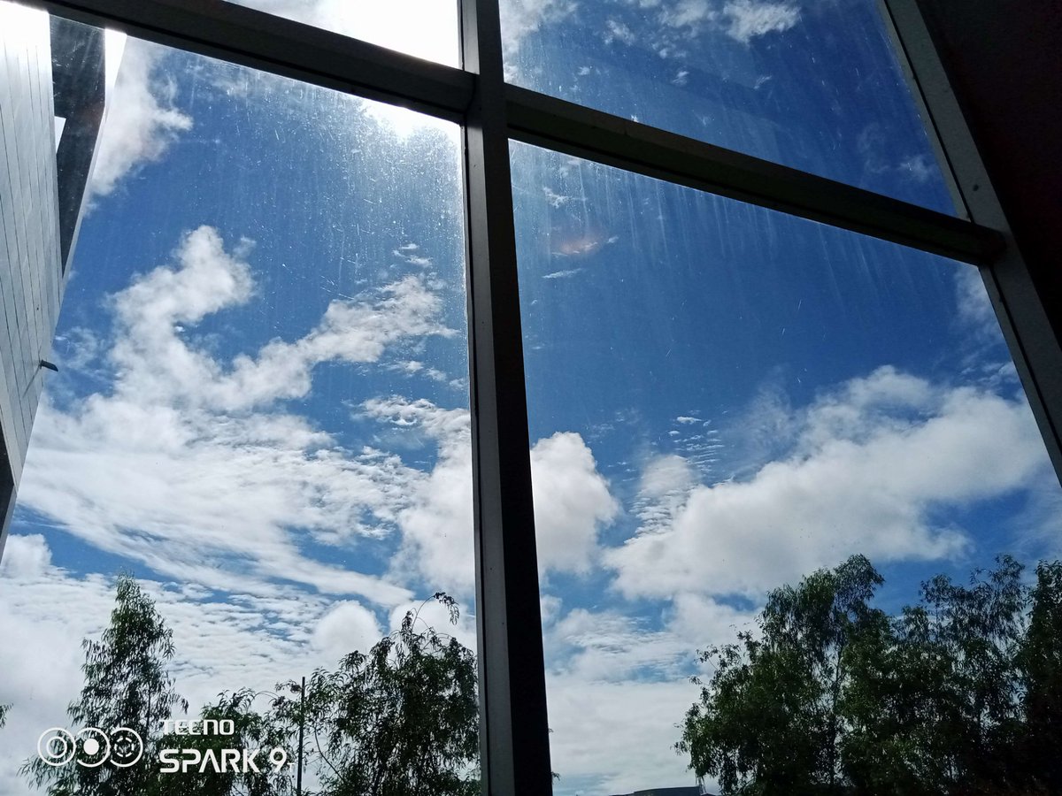 💿🇳🇬Aeopulus🏳️‍⚧️💿 / Radio Green coming soon. tweet media