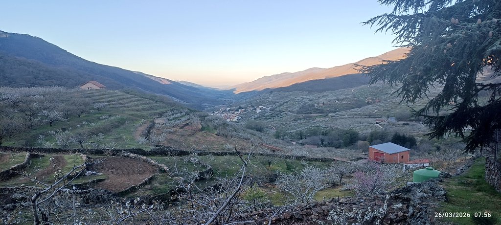 Nava del Concejo tweet media