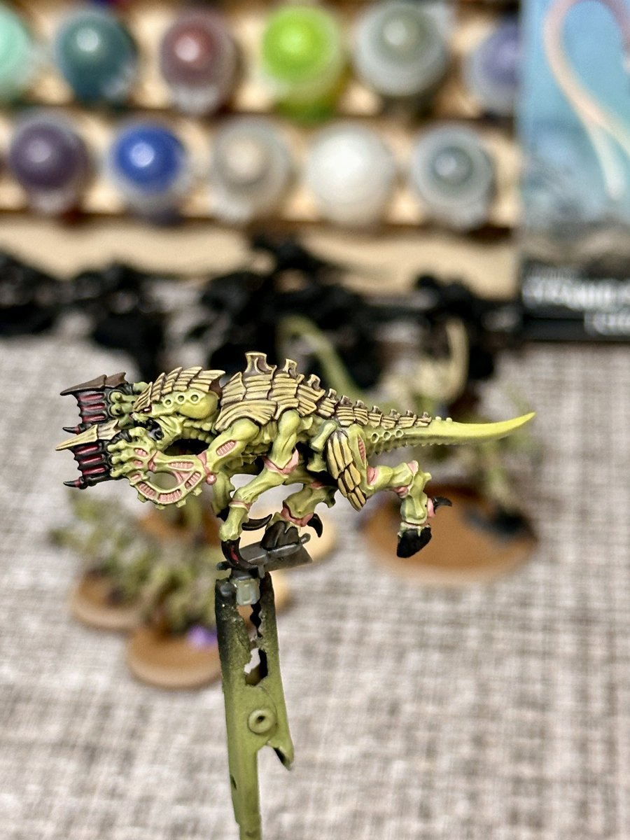 ぼうしょく tweet media