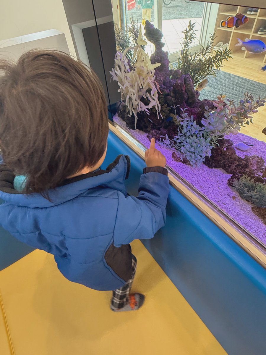 ERiKA🎶ポップロックママシンガー👩@4/19コロムLIVE🐰🍓💕 tweet media