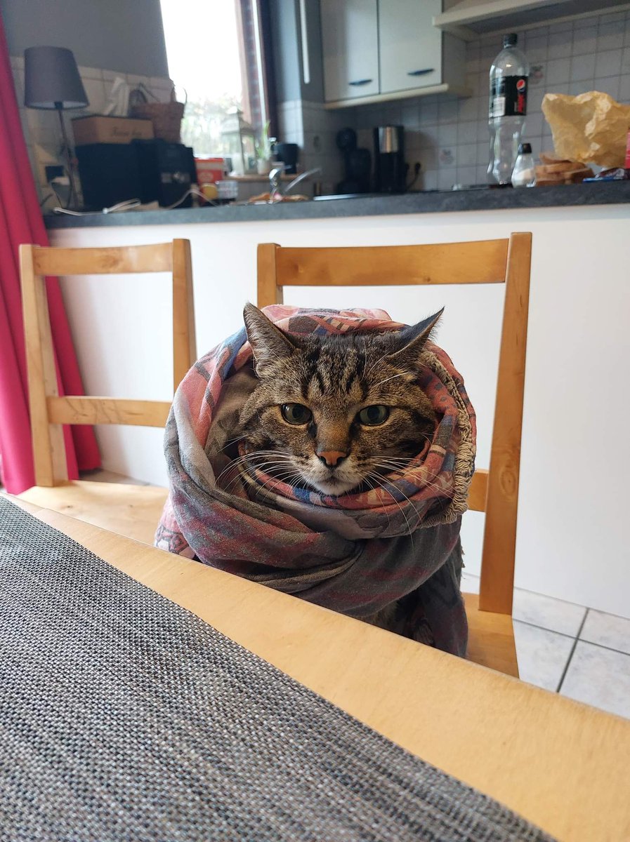 La Couque de Namgikook ⊙⊝⊜ tweet media