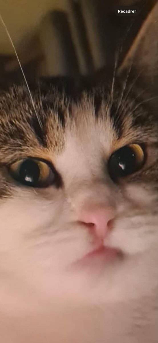 La Couque de Namgikook ⊙⊝⊜ tweet media