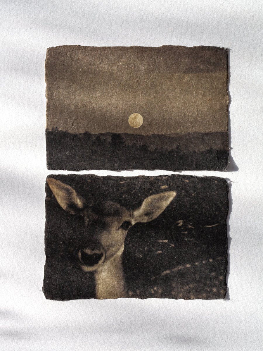 Laura Makabresku tweet media