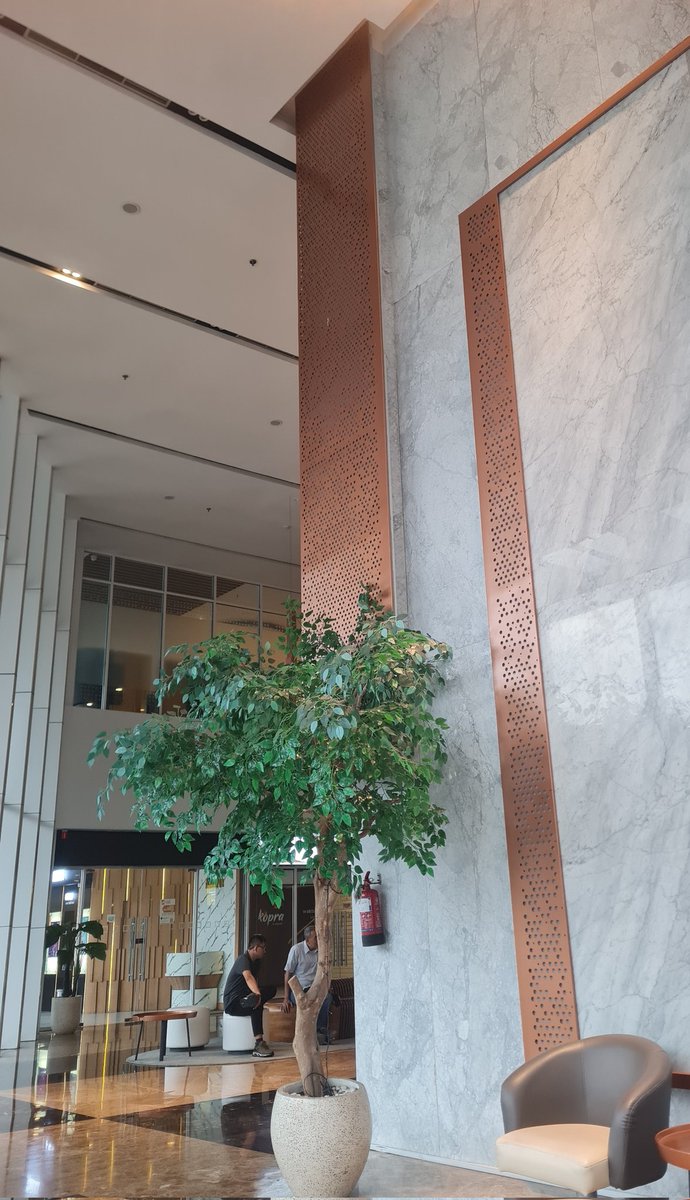 Lex 🥂 tweet media