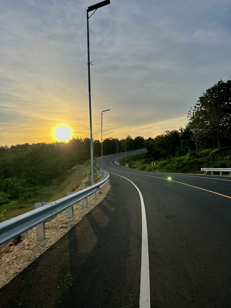 🐻🐻 tweet media