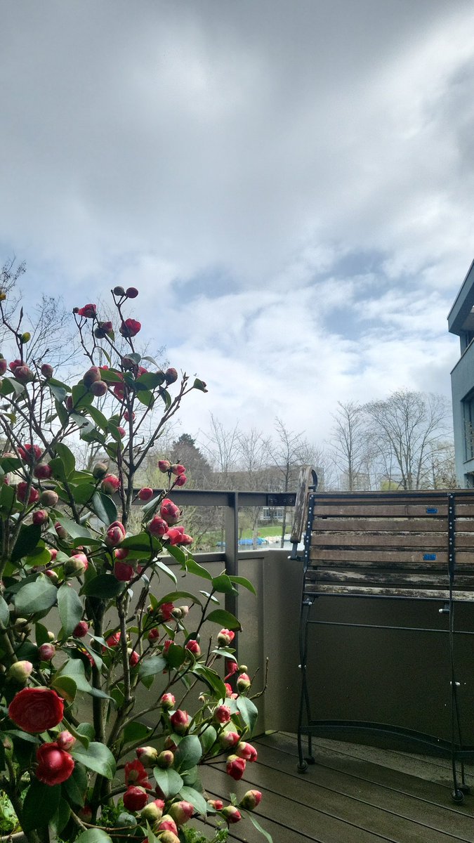 abwesender's tweet photo. Es Schneit!
Nur ganz wenig, aber es Schneit. https://t.co/ErK0IbO4pu