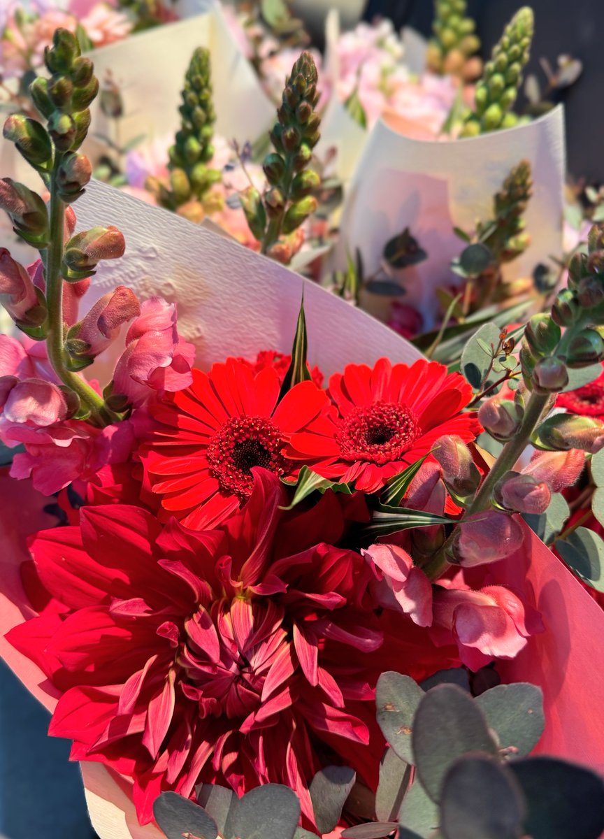 なおみ2022 tweet media