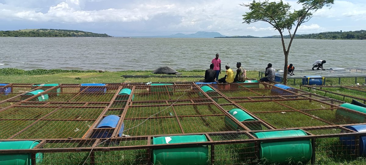 Kariobangi Social Justice Centre tweet media