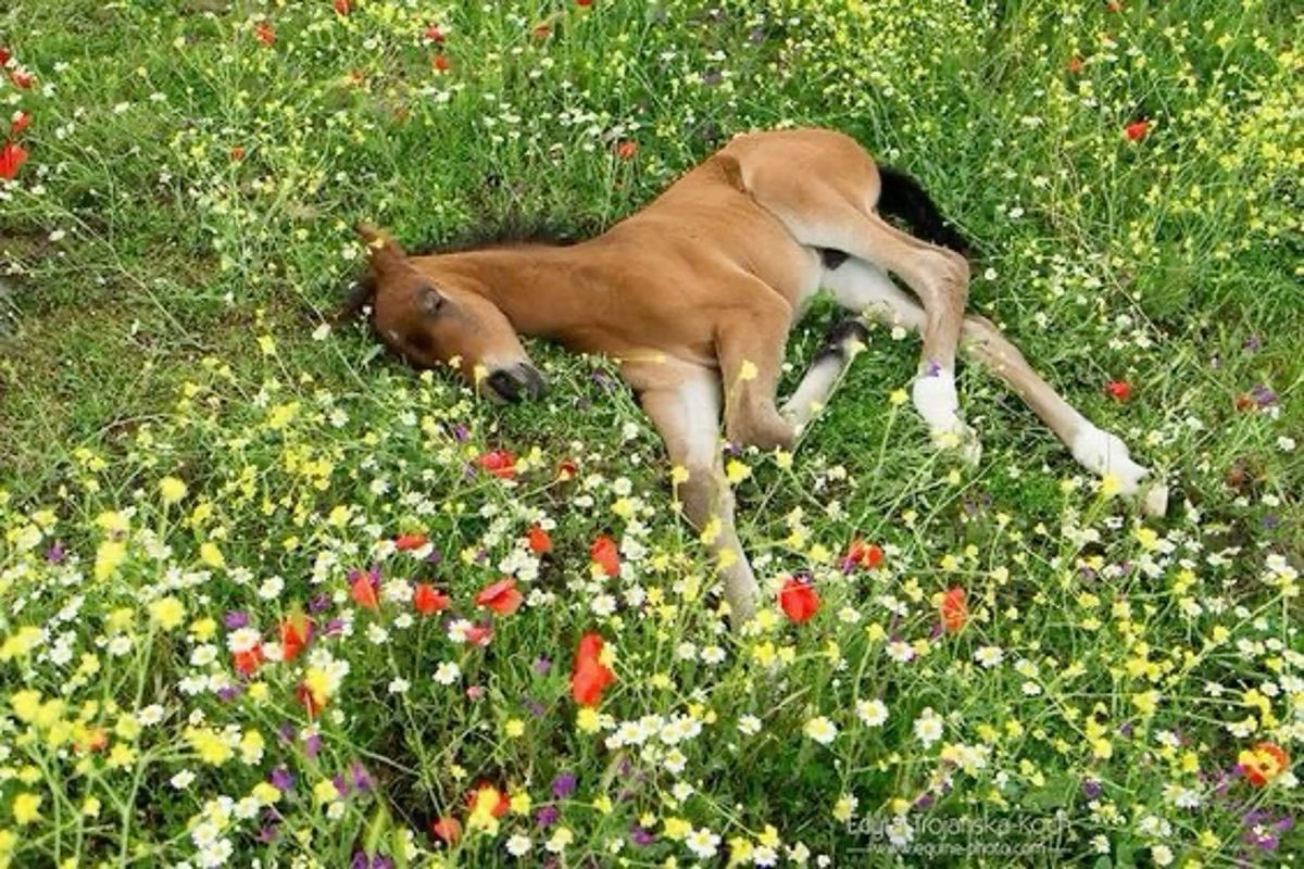 I don’t think romantic love is real for someone like me but maybe it doesn’t even matter