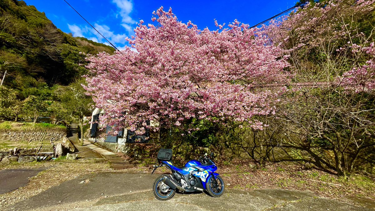 てぃけはし tweet media