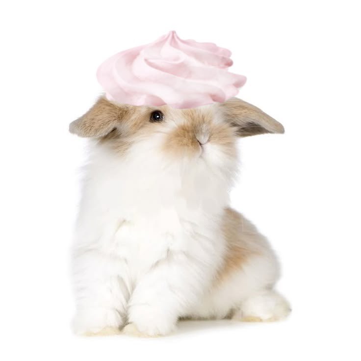 dollien ♡ tweet media