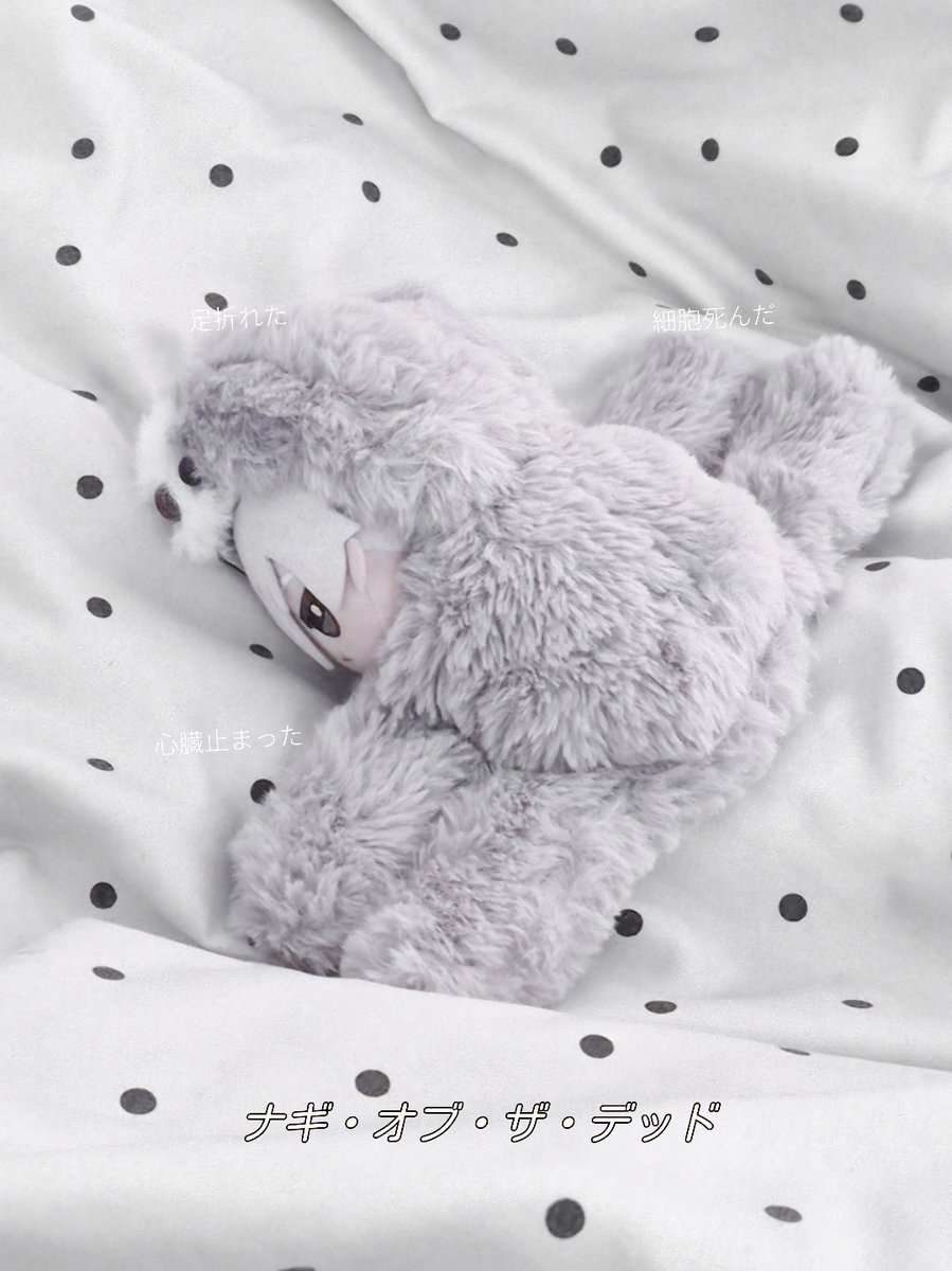 𝓛𝓲𝓸 tweet media