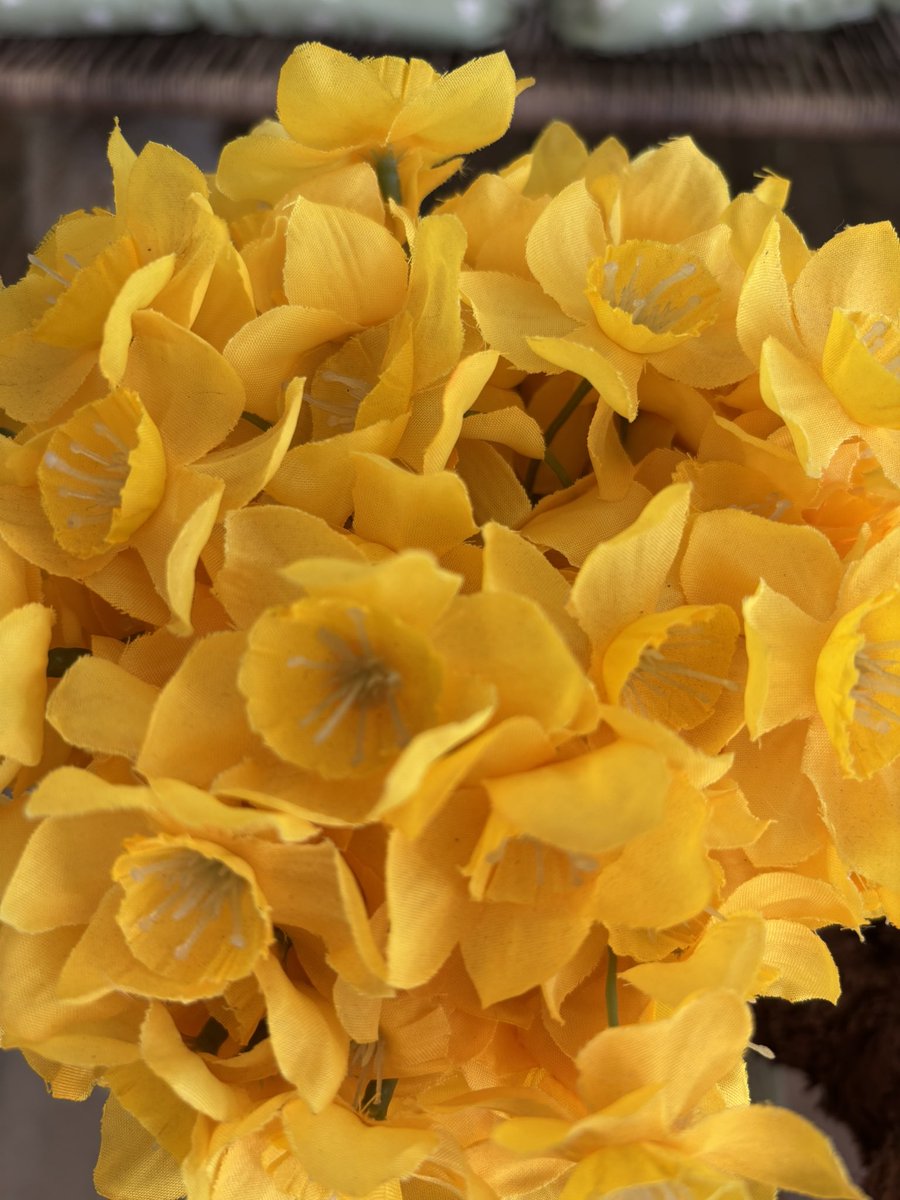 TheWaddells74 tweet media