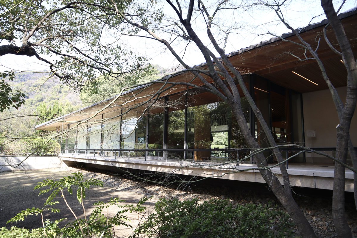 きただ亭🐣 tweet media