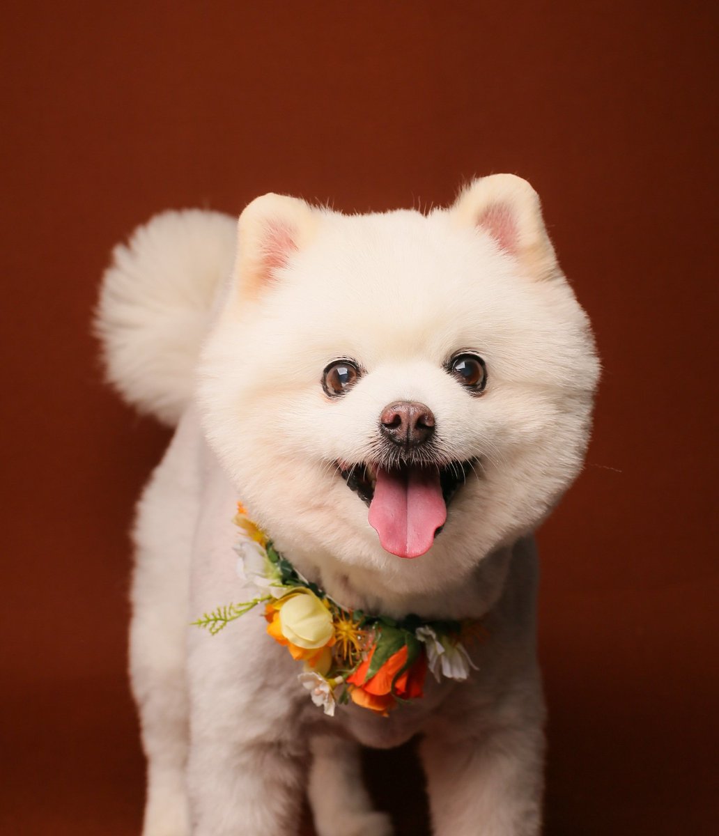 스위티진 tweet media