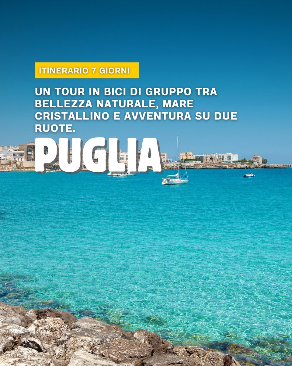 Evolution Travel tweet media
