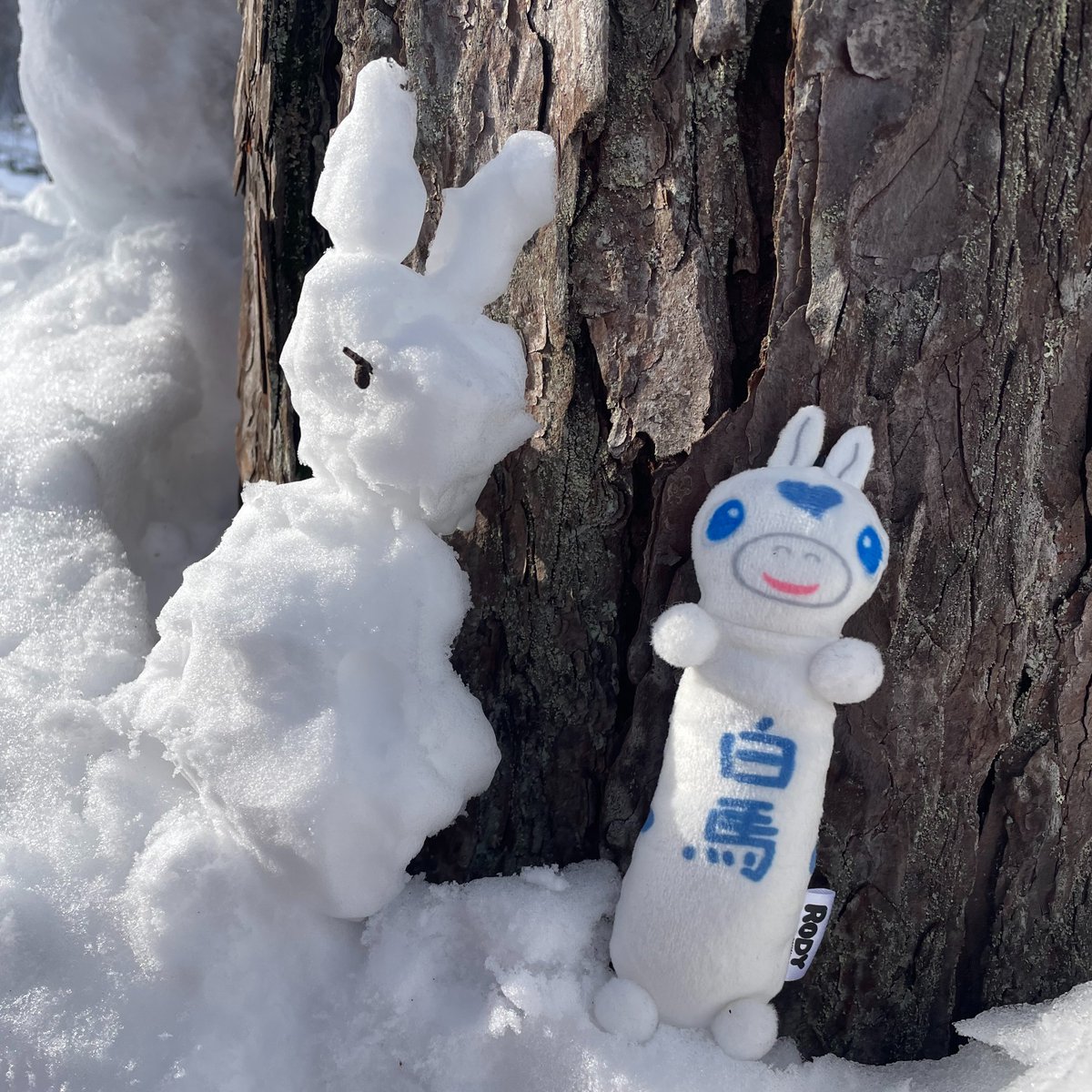 RODY（ロディ） tweet media